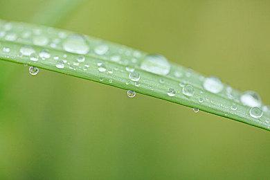 索尼重申：第一方付费游戏首发不登陆PS Plus